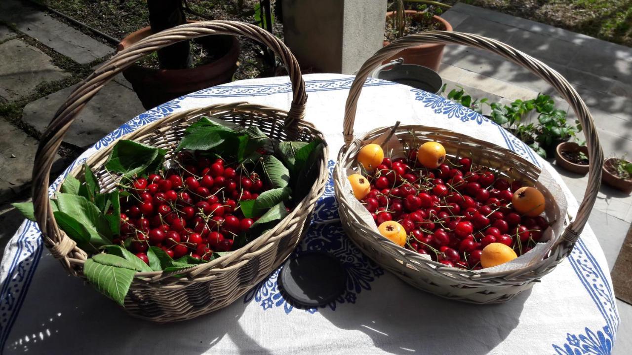 The Italian Riviera Bed & Breakfast San Salvatore  Екстериор снимка