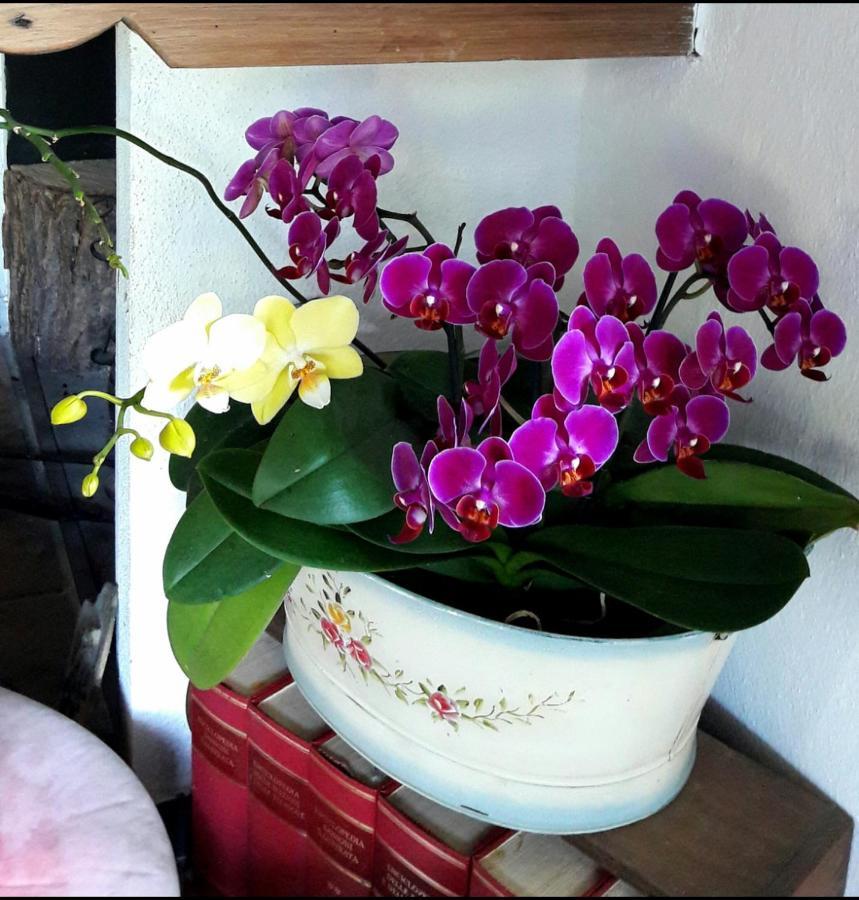 The Italian Riviera Bed & Breakfast San Salvatore  Екстериор снимка